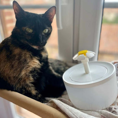 Cat Water Fountain next to a tortoiseshell cat, showcasing the modern design for fresh hydration.