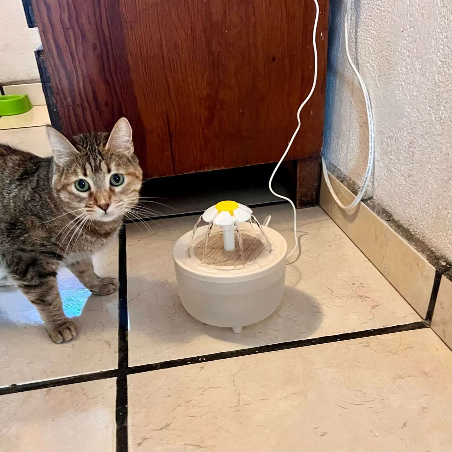 Cat Water Fountain with a curious cat nearby, showcasing clean, flowing hydration for pets.