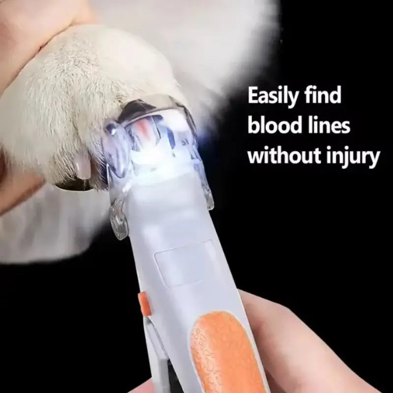 Dog Nail Clippers With LED Light illuminating a dog's nail to easily find blood lines for safe trimming.